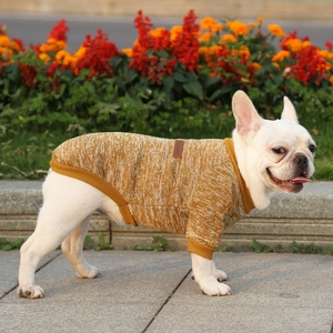 Macro detail of mustard yellow knit pet sweater texture with classic leather patch