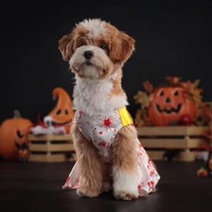 Détail de robe d'Halloween pour chien avec motif éclaboussures de sang rouge et design horreur