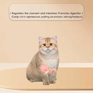 Jouet pour chat favorisant la digestion montrant le soutien gastrique et intestinal