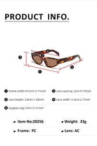 Detailed size chart for Y2K cat-eye sunglasses with frame and lens measurements in cm and inch