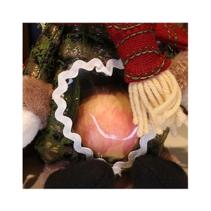 Christmas Santa gift bag with a green brocade pattern and a clear window showing an apple