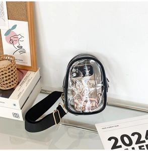 Close-up of a transparent black PVC mini crossbody bag with gold-tone hardware