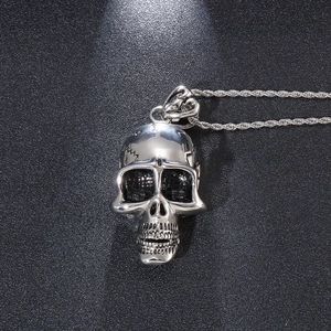 Dramatic top lighting on silver skull pendant with detailed metallic texture and woven chain