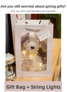 Gift set featuring a white windowed carry bag with warm LED string lights and a gift tag
