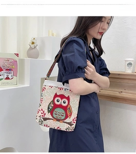 Detailed owl embroidery and ethnic colorful woven strap on a white canvas shoulder bag