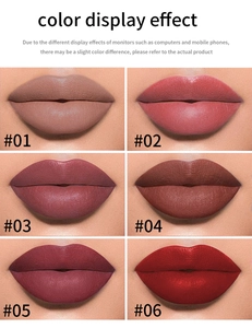 Detailed color display effect of six matte velvet lip glaze shades from #01 to #06