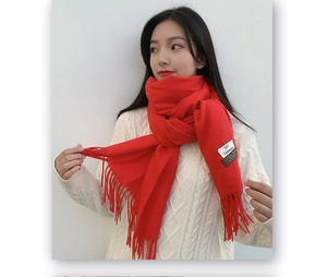 Detail of red cashmere scarf with tassels worn by model against white background