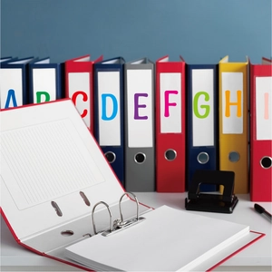 Close-up of multicolored A4 loose-leaf binders with metal rings on an office desk