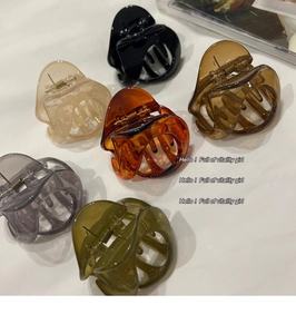 Lot de six grandes pinces à cheveux en résine mate aux couleurs neutres et ressort métal