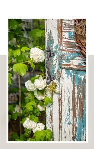 Close-up of vintage seahorse cast iron handle on a rustic blue and white wooden door