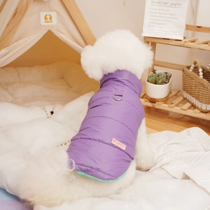 Quilted purple waterproof pet vest with D-ring shown on a white poodle in a home setting