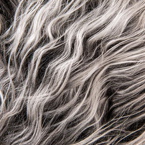 Close-up of curly faux fur texture with gradient grey and silver long plush fibers