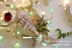 Star-shaped LED string lights wrapped around shells with warm white bokeh effect