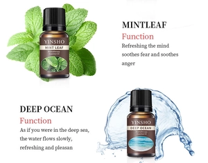 Detailed view of plant essential oil bottles with mint leaf and water splash design accents.