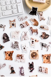 Close-up of cute animal stickers featuring cats and dogs wearing toast and hoodies
