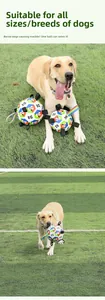 Detail of dog soccer toy with nylon grab tabs on green grass for interactive outdoor training