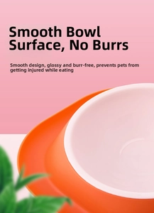 Detail showing smooth body and burr-free edges of the double pet bowl for safe feeding