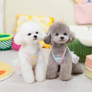 Knitted striped pet dress with lace trim for cats and small dogs in soft pastel colors