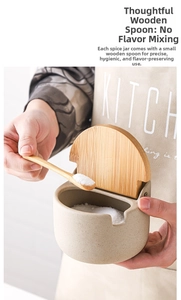 Detail of beige ceramic seasoning jar with a wooden lid, matching spoon, and salt inside