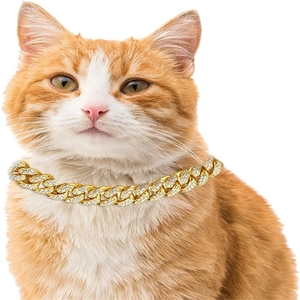 Close-up of a sparkling gold Cuban link collar with rhinestones on an orange and white cat