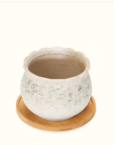 Ceramic succulent pot with wavy edges and green speckles on a round bamboo tray