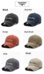 Collage of six vintage baseball caps with Ascending embroidery and distressed details