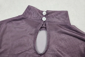 Detail of sheer purple mesh dress showing mock neck with two buttons and back cutout
