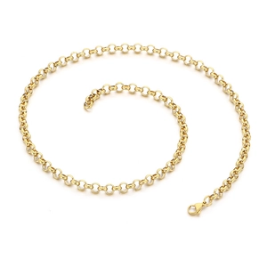 Elegant gold stainless steel rolo chain necklace for men and women on white background