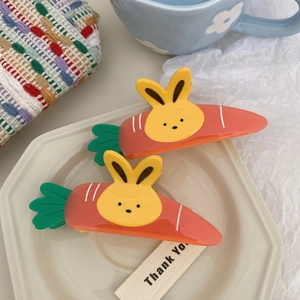 Detail showing two cute acetate hair clips with carrot and rabbit designs on a white plate