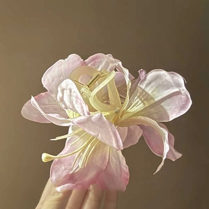 Elegante leliebloem haarklem in roze en wit verloop voor een vakantie look
