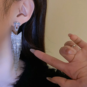 Close-up of silver tassel earrings with sparkling crystals worn by a model