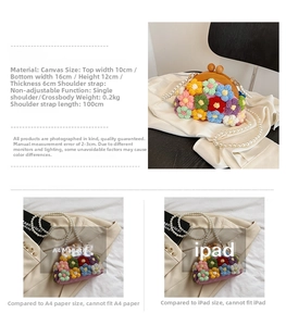 Detailed dimensions of the canvas shell bag with pearl strap and colorful floral decor