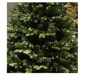 Primo piano di luci LED bianco caldo su filo verde nascoste tra i rami dell'albero