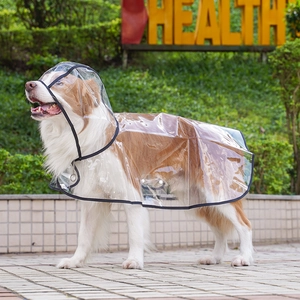 Close-up detail of transparent waterproof dog raincoat with black reinforced edges and snap buttons