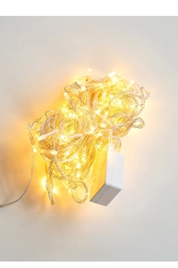 Detail view of warm white LED fairy lights with transparent wire and a battery controller