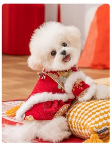 Détail du vêtement de Nouvel An chinois pour chien rouge avec broderie dorée