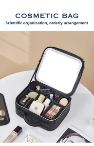 Detail of cosmetic case showing adjustable dividers and large integrated makeup mirror