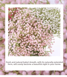 Detail of pink and white baby's breath flowers for wedding decor and photography