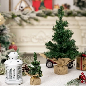 Detail of green artificial Christmas trees in burlap bags with a white lantern
