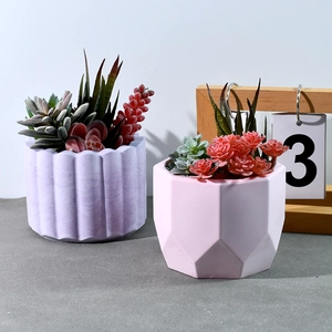 Mini succulent plants in purple striped and pink geometric resin pots on a desktop