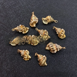 Macro shot of natural seashell pendants with gold plated edges for DIY jewelry making