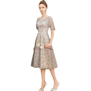 Elegant silver grey lace V-neck evening dress with floral embroidery and short sleeves