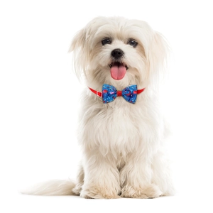 Detail of adjustable pet bowtie with flamingo pattern on blue fabric and red strap