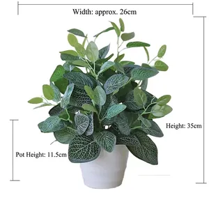 Artificial fittonia plant in white pot with size markings: Height 35cm and Width 26cm