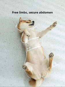 Close-up of waterproof transparent dog raincoat with white trim and belly snap buttons
