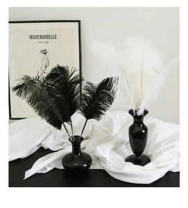 Elegant display of black and white ostrich feathers in vases for home decor accents