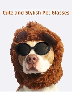 Détail de lunettes de soleil pour animaux et costume de crinière de lion pour petits chiens