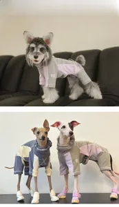Detail showing two-tone dog bodysuit with high collar and warm athletic design