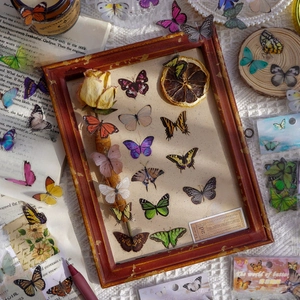 Vintage butterfly PET stickers set with colorful realistic patterns for journals