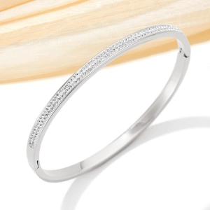 Detail of silver stainless steel bangle with double row pavé crystals on silk background